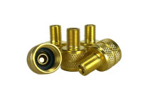Cores & Caps LB
